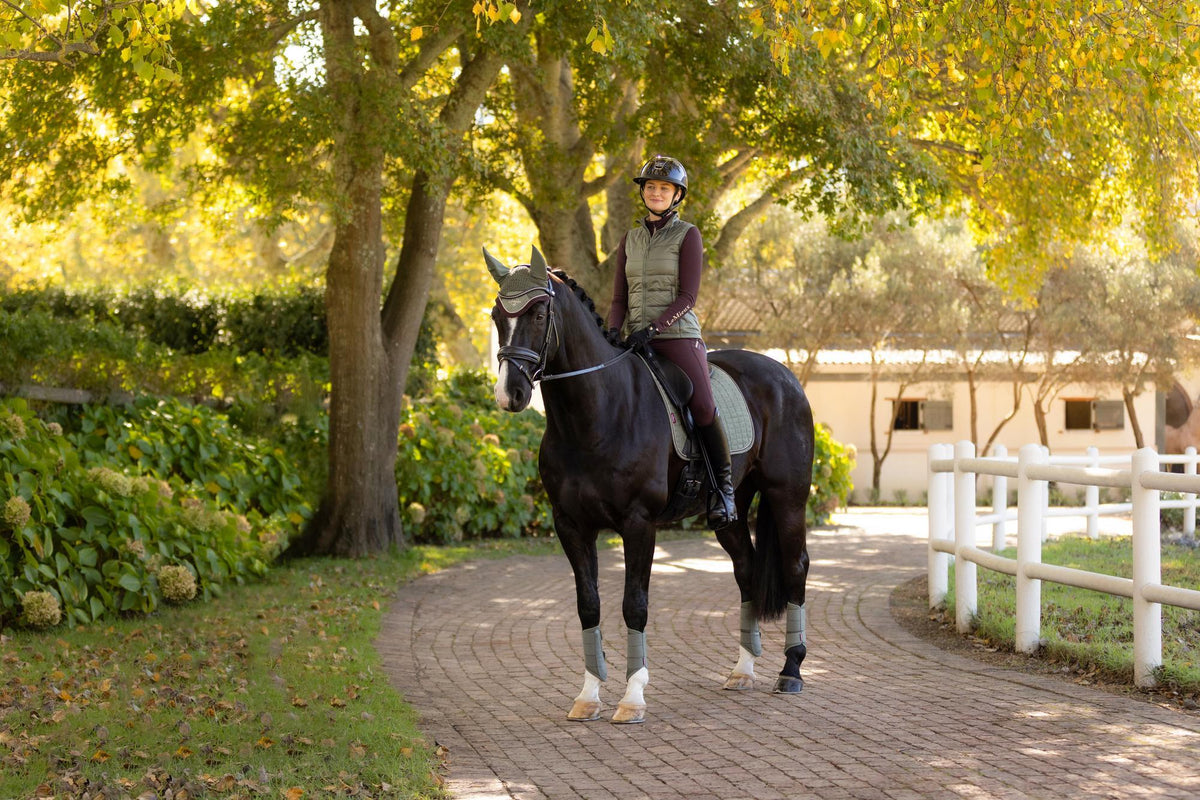 AW25 LM Suede Dressage Square Rosemary