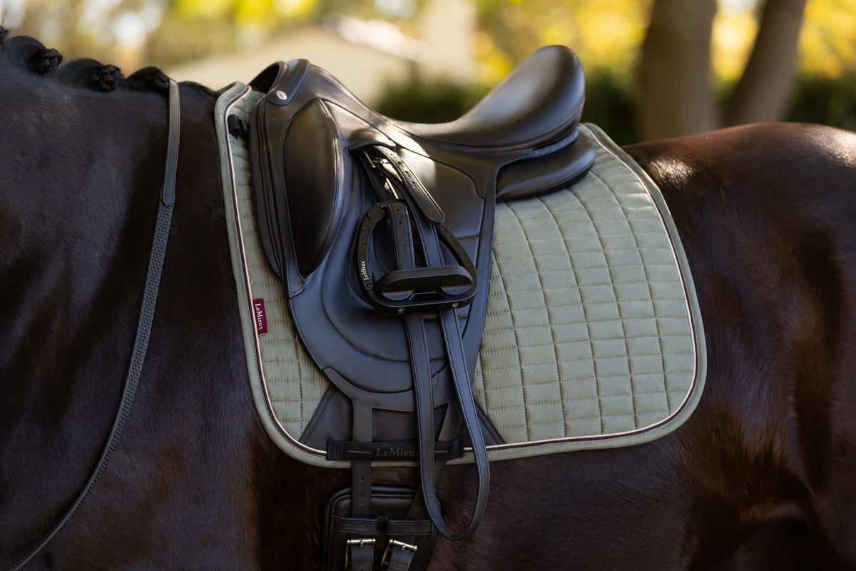 AW25 LM Suede Dressage Square Rosemary