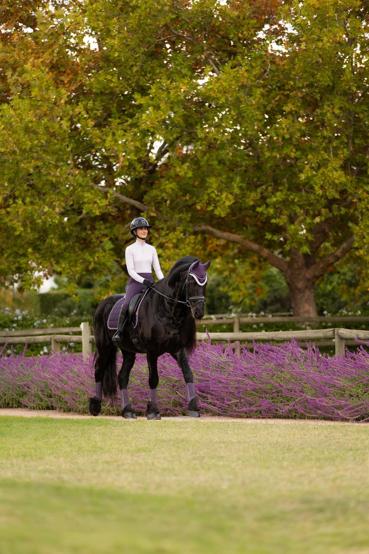 AW25 LM Loire Classic Dressyr Square Juniper
