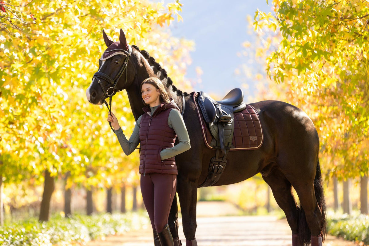 AW25 LM Loire Classic Dressage Square Damson