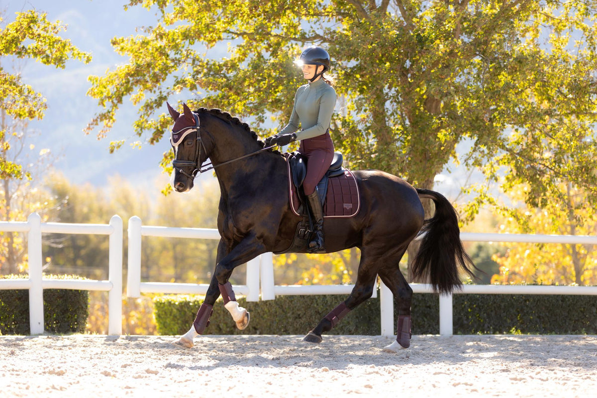 AW25 LM Loire Classic Dressage Square Damson