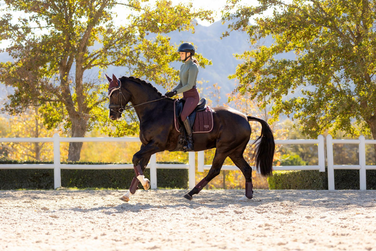 AW25 LM Loire Classic Dressage Square Damson