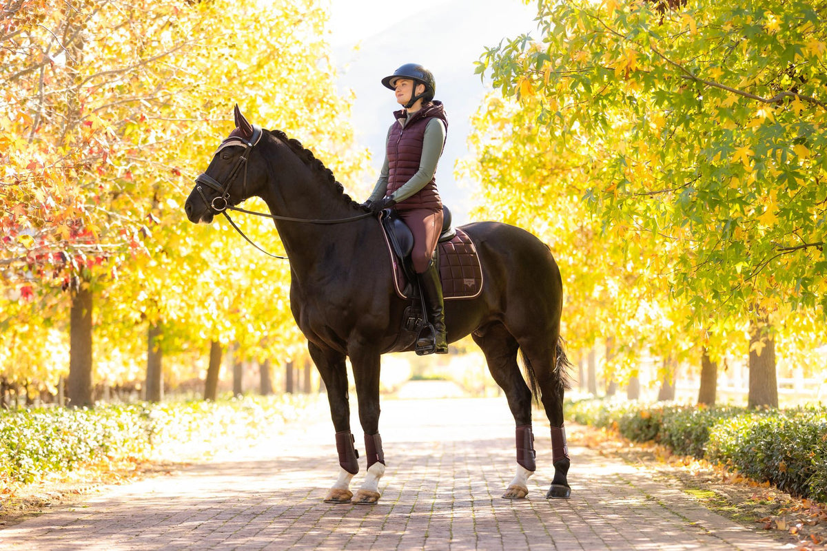 AW25 LM Loire Classic Dressage Square Damson
