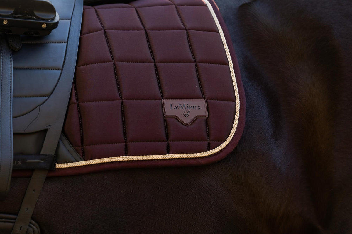 AW25 LM Loire Classic Dressage Square Damson