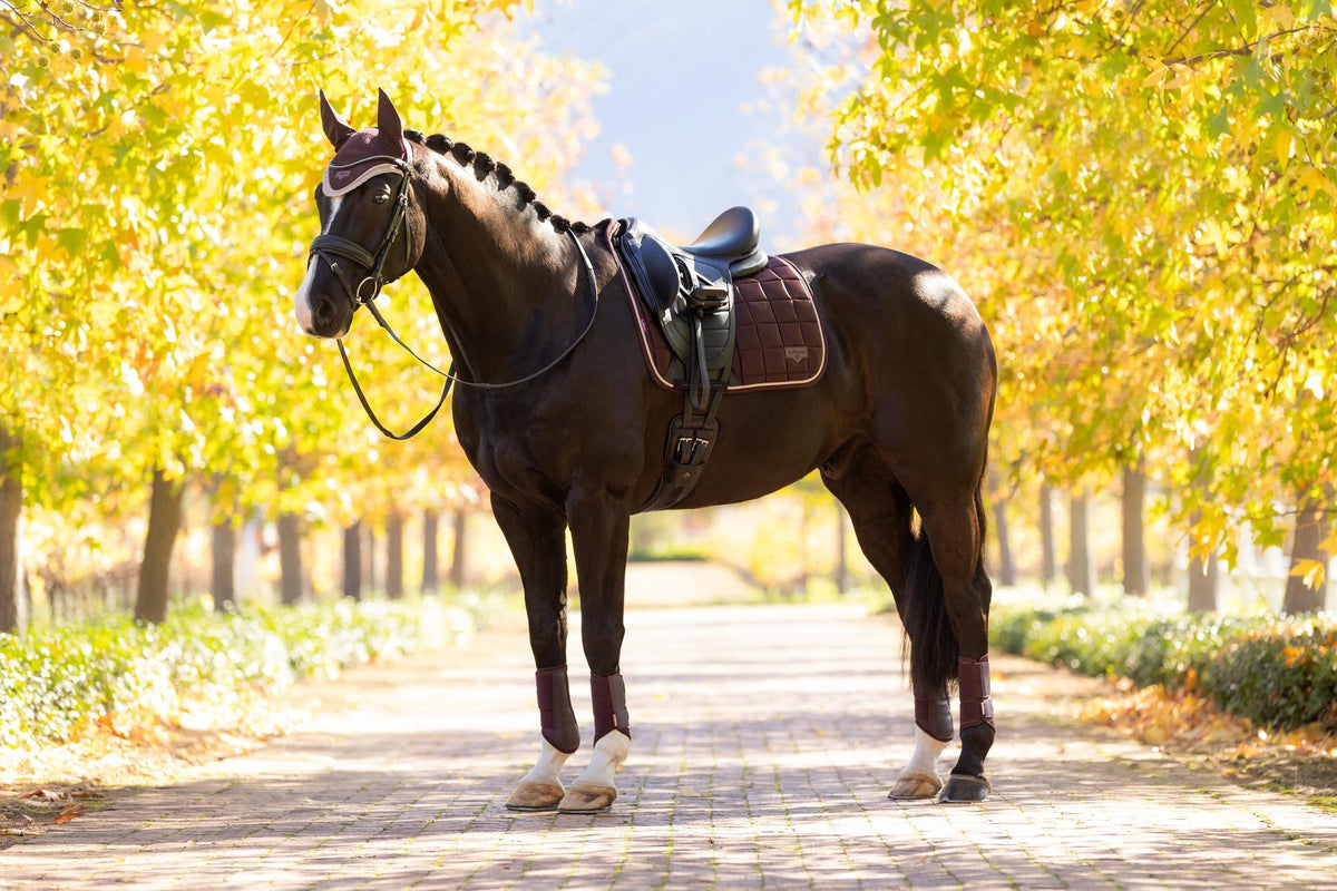 AW25 LM Loire Classic Dressage Square Damson
