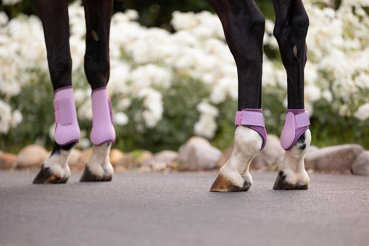 LeMieux SS26 Arika Fetlock Boot Fondant