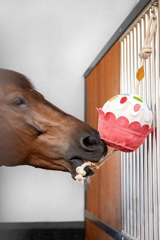 Horse Toy Leksak Cupcake