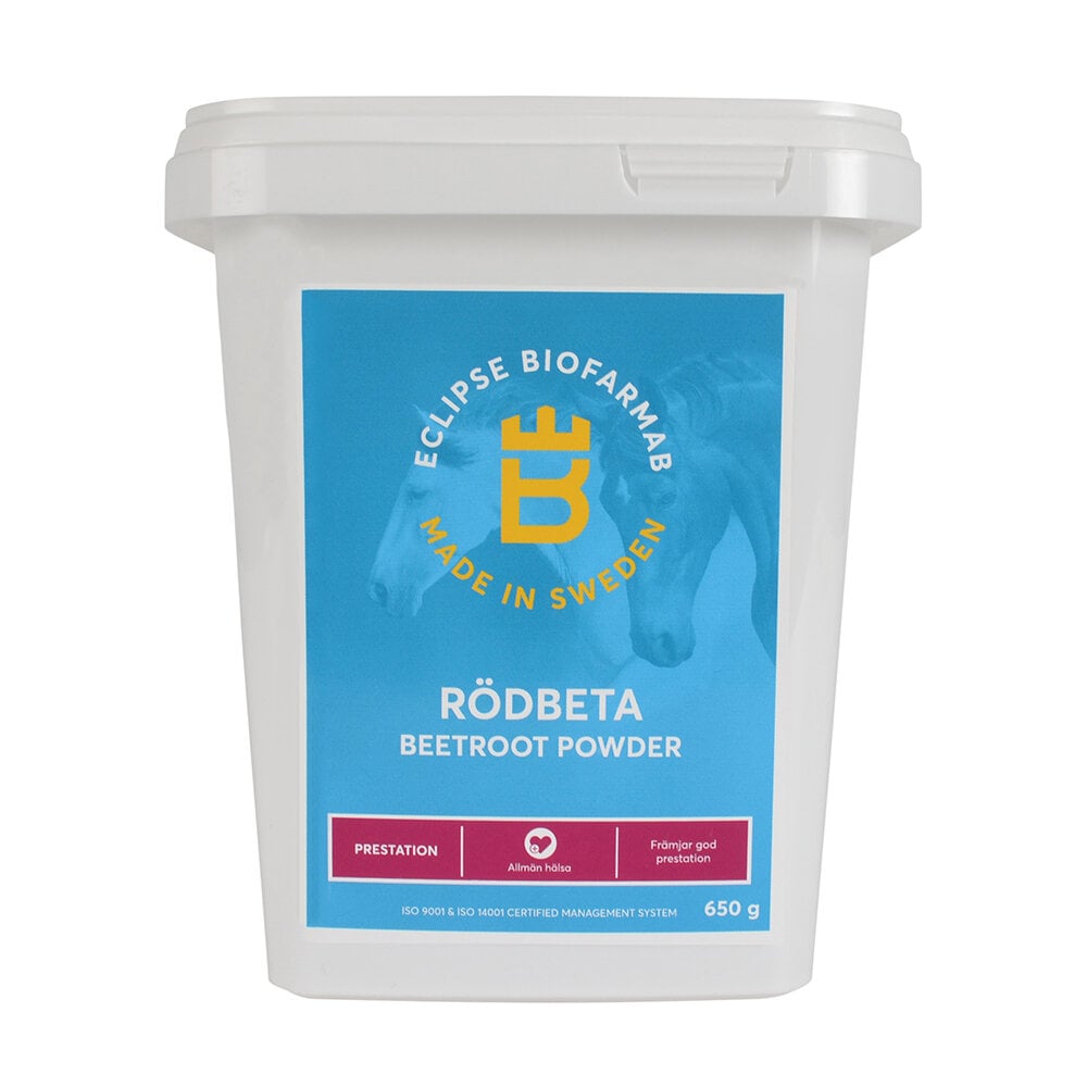 Rödbeta