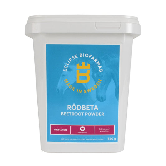 Rödbeta