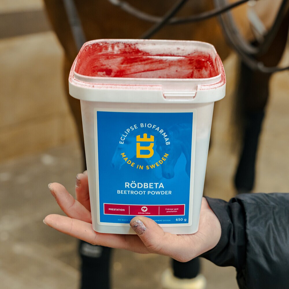 Rödbeta