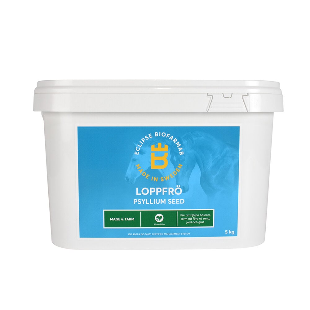 Loppfrö