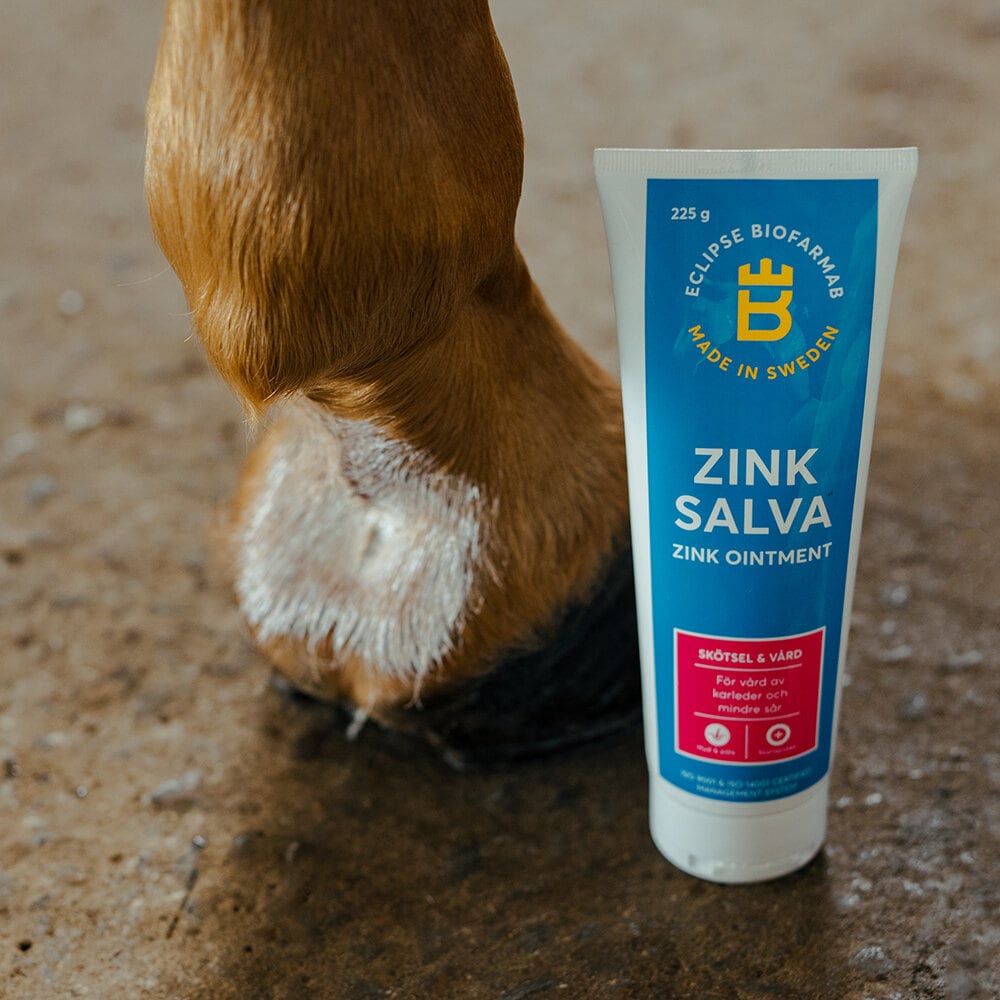 Zinksalva