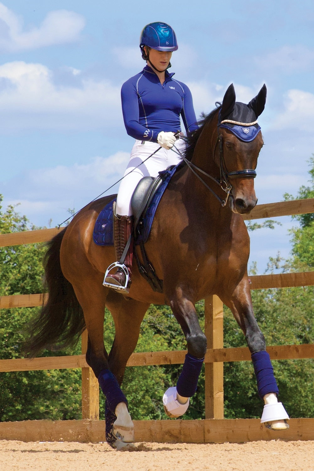 Woof Wear - Vision Flughuva, Navy