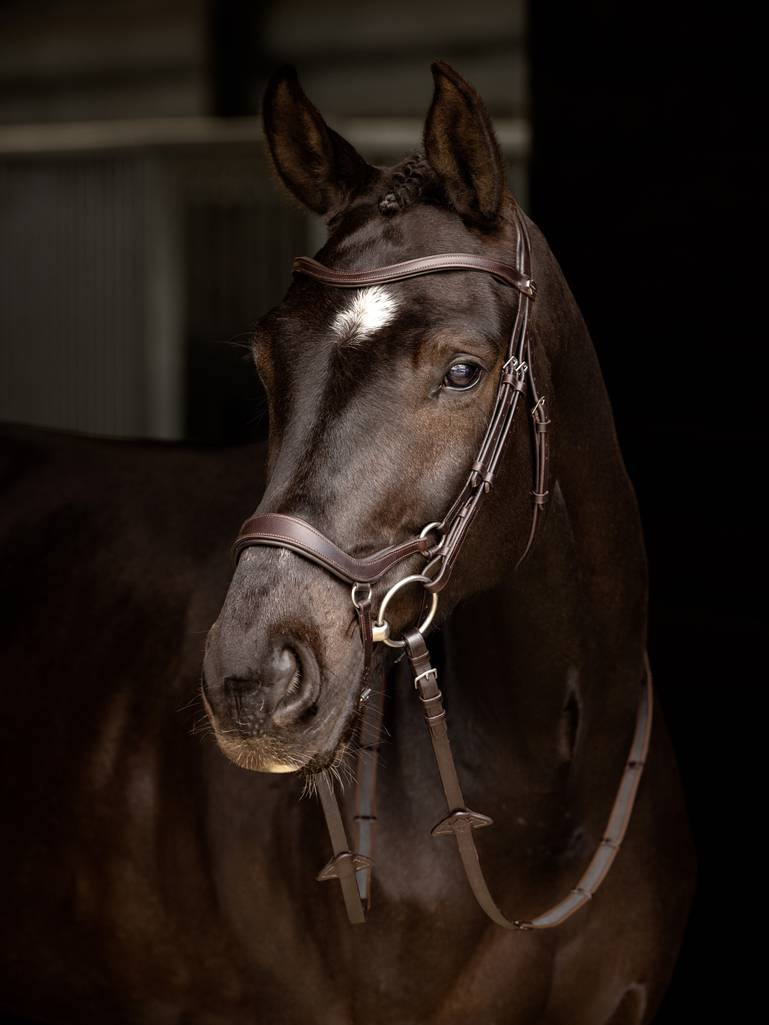 LM Arika Drop Bridle Brun/Sølv