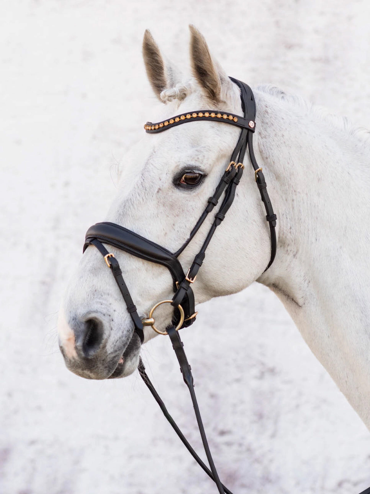 Cleveland Dressage Bridle
