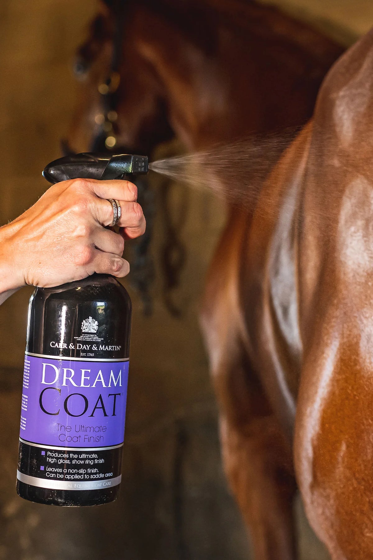 Carr & Day & Martin Grooming Duo