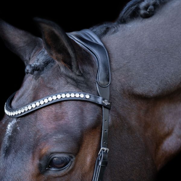 Bridle HVPLegacy Anatomical deluxe