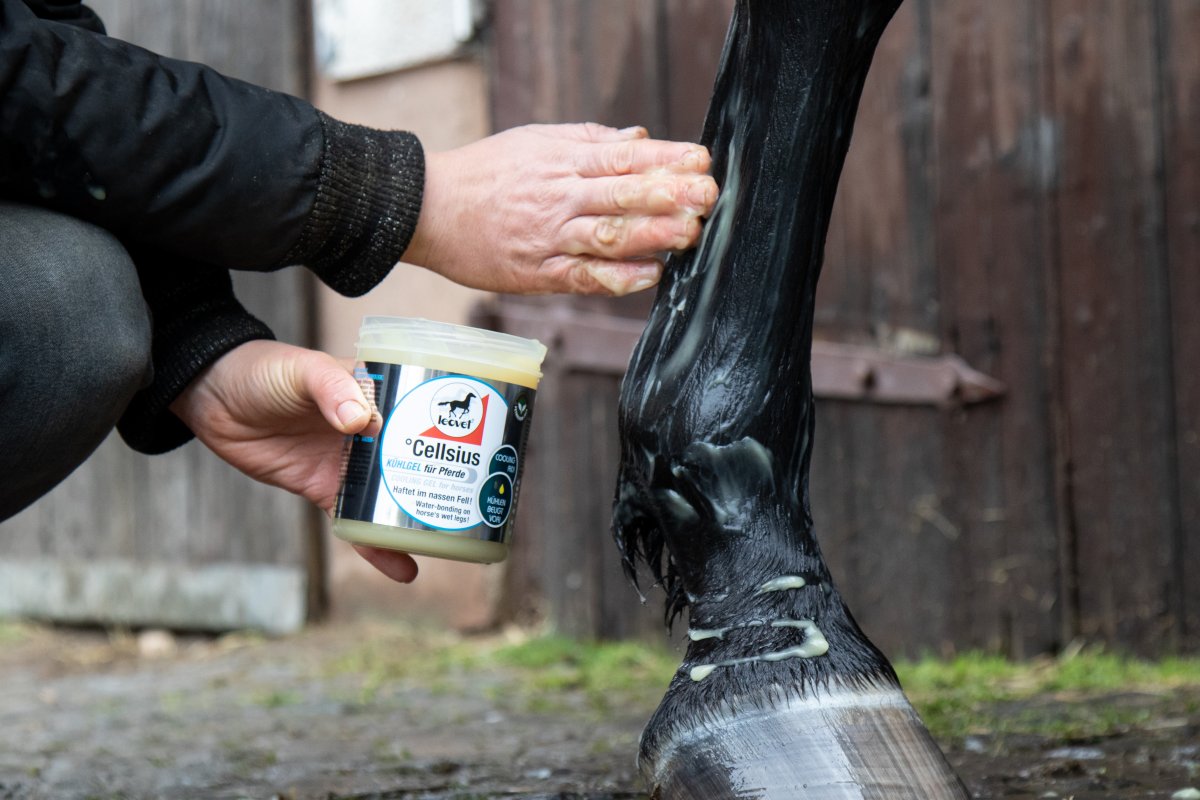 Leovet Cellsius Gel 600 ml