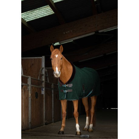 Chemise polaire EQUITHÈME -Teddy-