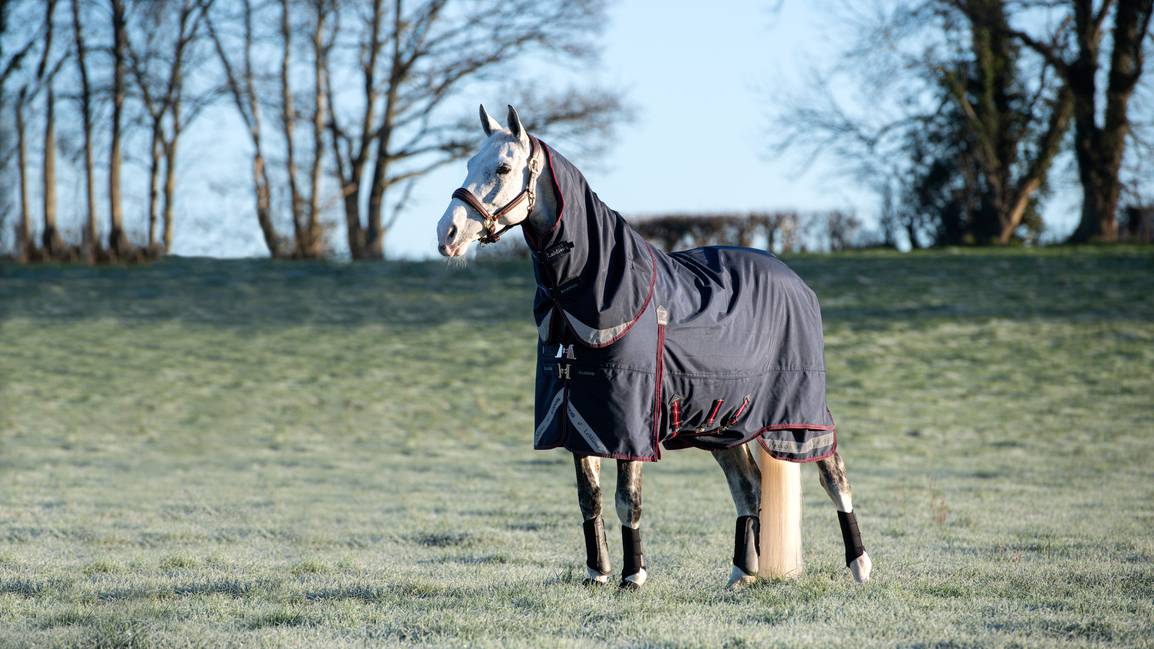LeMieux LM Kudos Turnout Rug 50g Navy