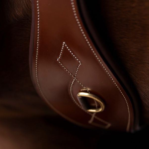 Dressagegjord HVPLegacy