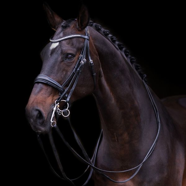 Weymouth bridle IRHFria