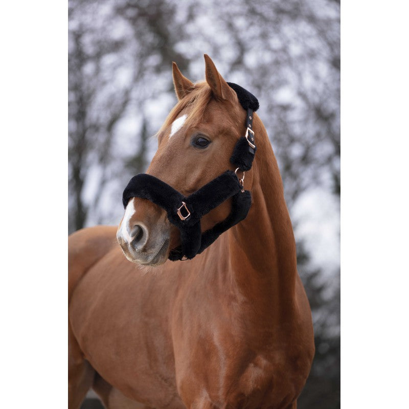 EQUITHÈME - Teddy rose gold - Halter