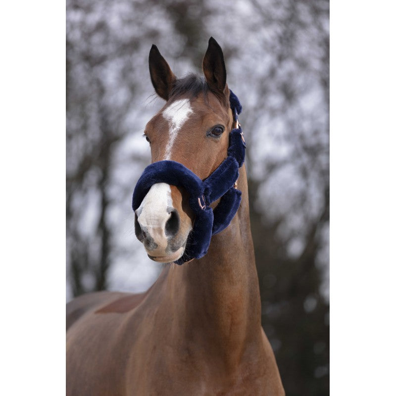 EQUITHÈME - Teddy rose gold - Halter