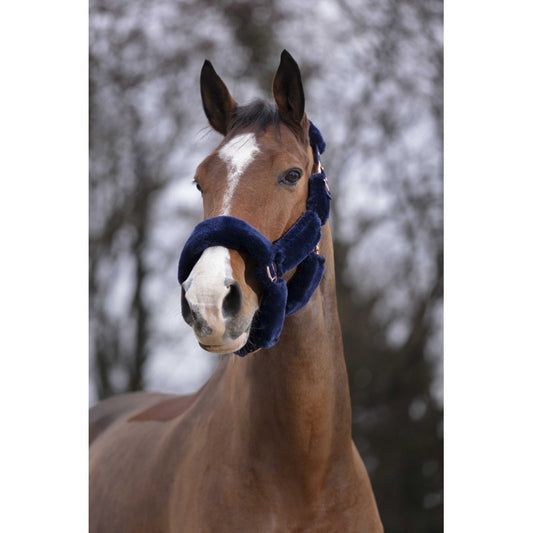 EQUITHÈME - Teddy rose gold - Halter
