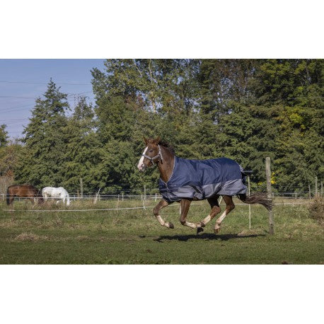 EQUITHÈME - TYREX 600D - High Neck Rug