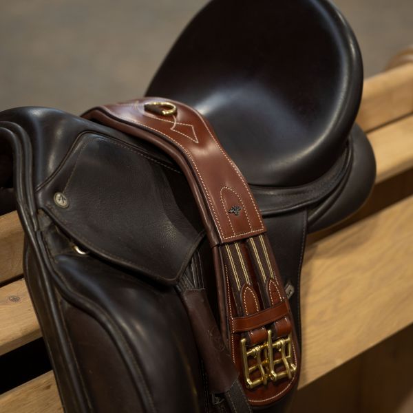 Dressagegjord HVPLegacy