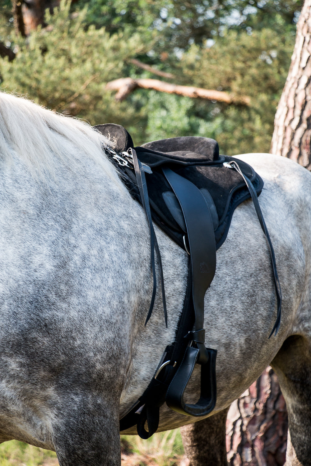EDIX Broncho barebacksaddlepad, complete