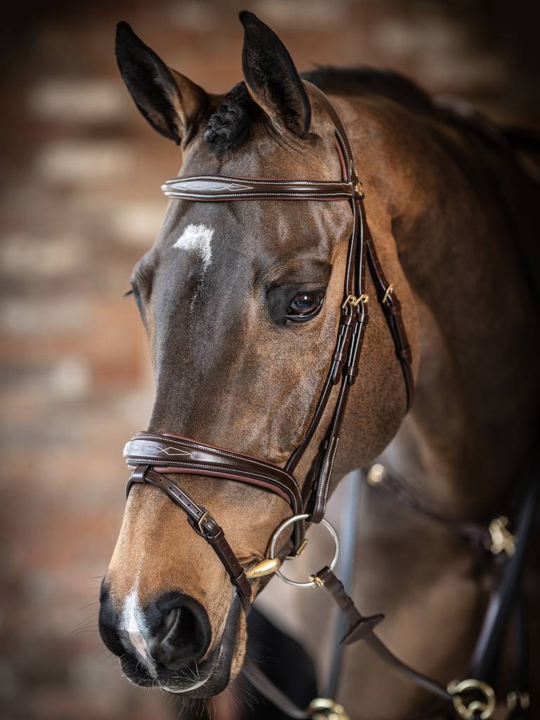 LM Kudos Competition Flash Bridle, Havana