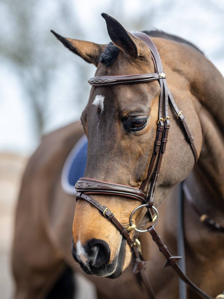 LM Kudos Competition Flash Bridle, Havana