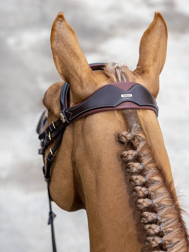 LM Kudos Competition Flash Bridle, Havana