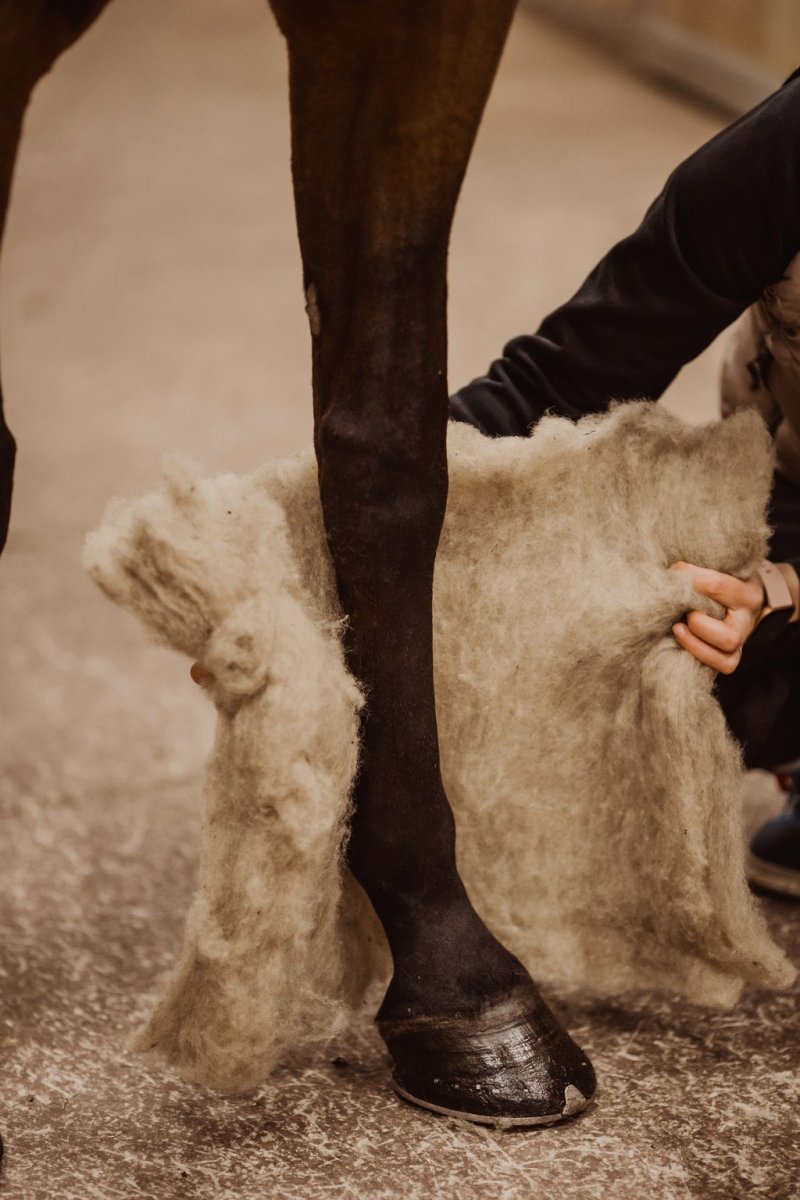 VILLAge Wool Pads