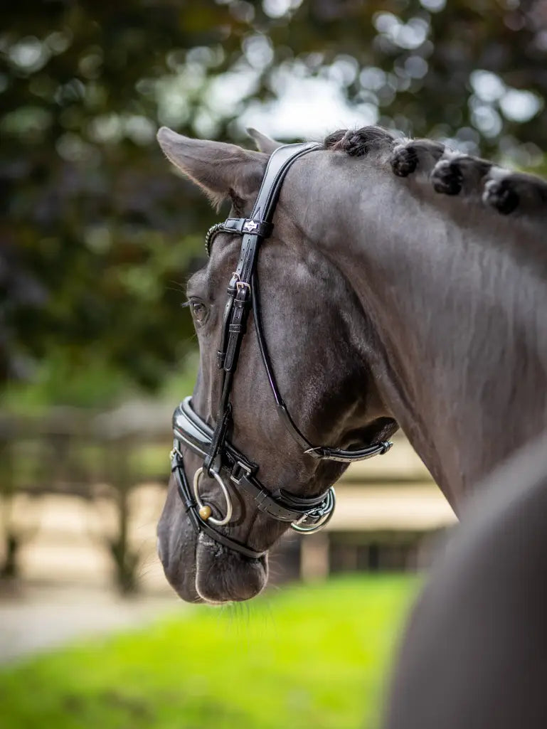 Kudos Patent Dressage Bridle Svart