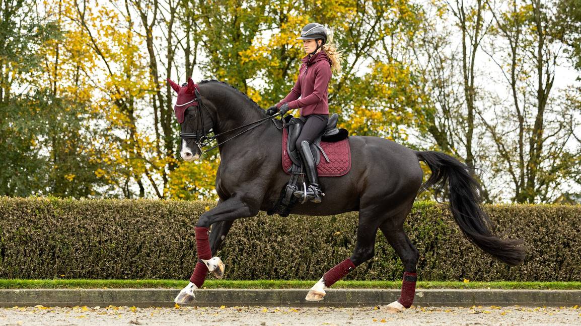 LM Crystal Suede DR Pad Burgundy