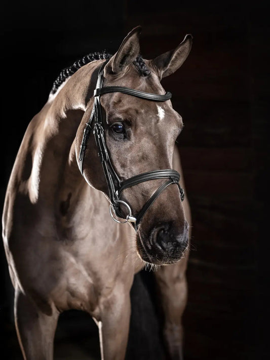 LM Arika Flash Bridle, Sort