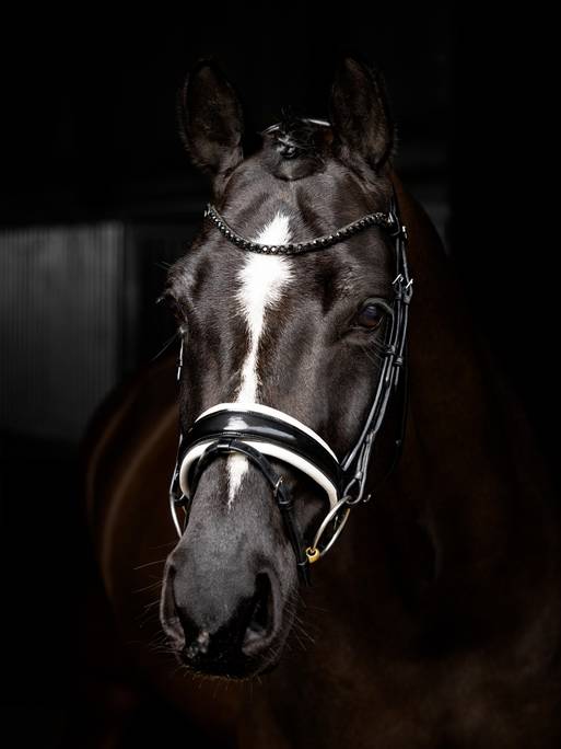 Kudos Patent Dressage Bridle Svart/Vit