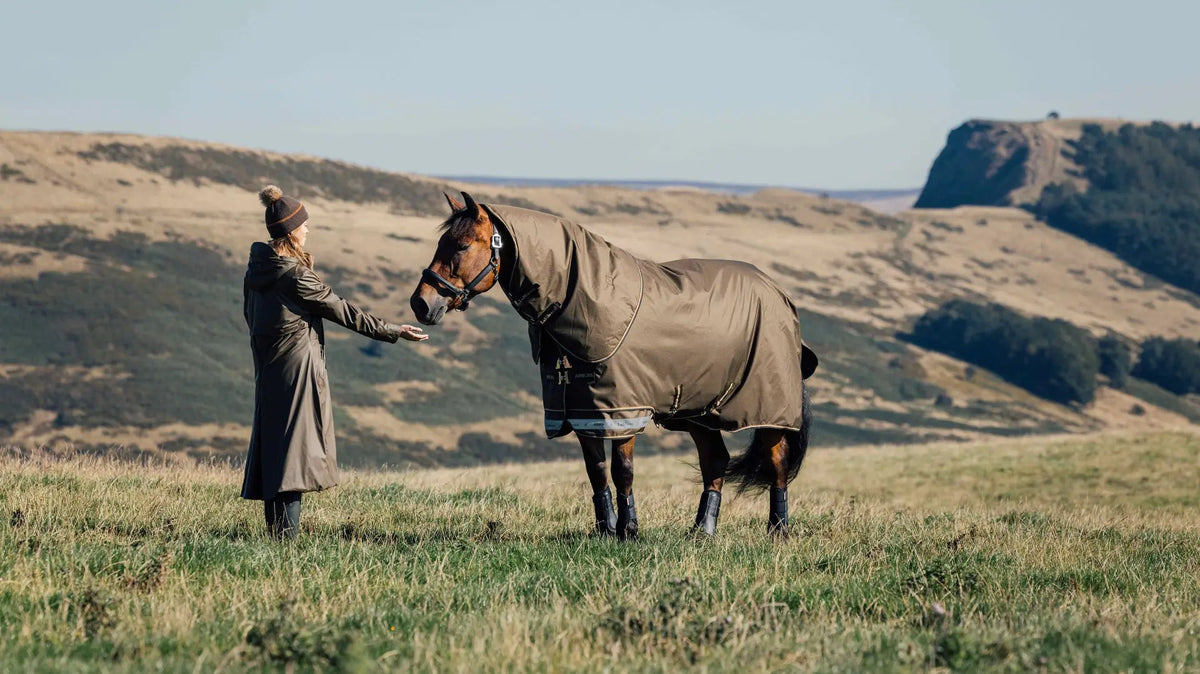 LM Arika 600D Ripstop 50g Turnout Rug Alpine
