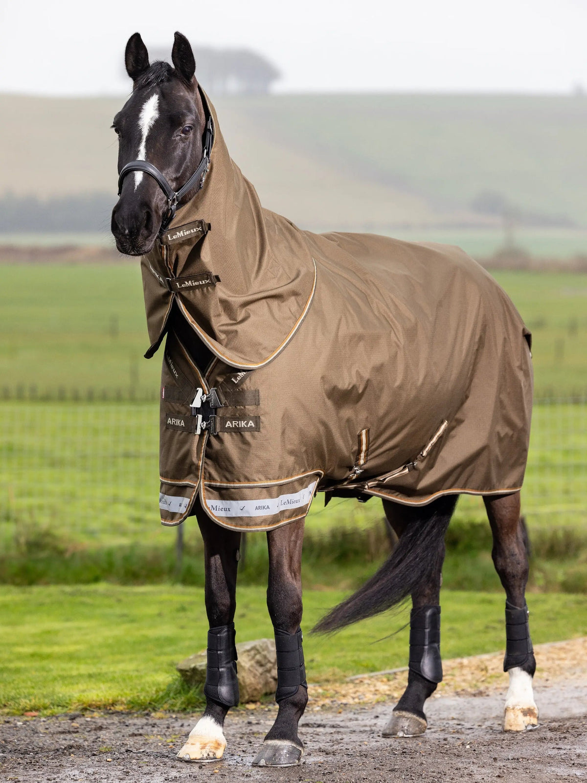 LM Arika 600D Ripstop 50g Turnout Rug Alpine