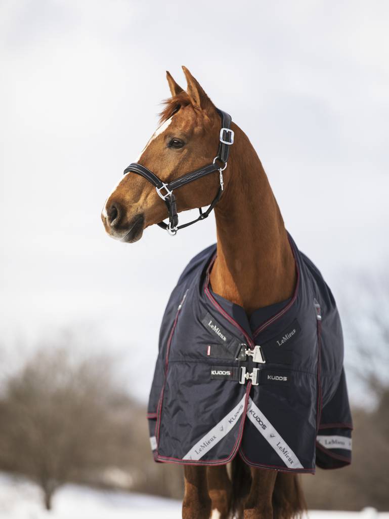 LeMieux LM Kudos Turnout Rug 50g Navy