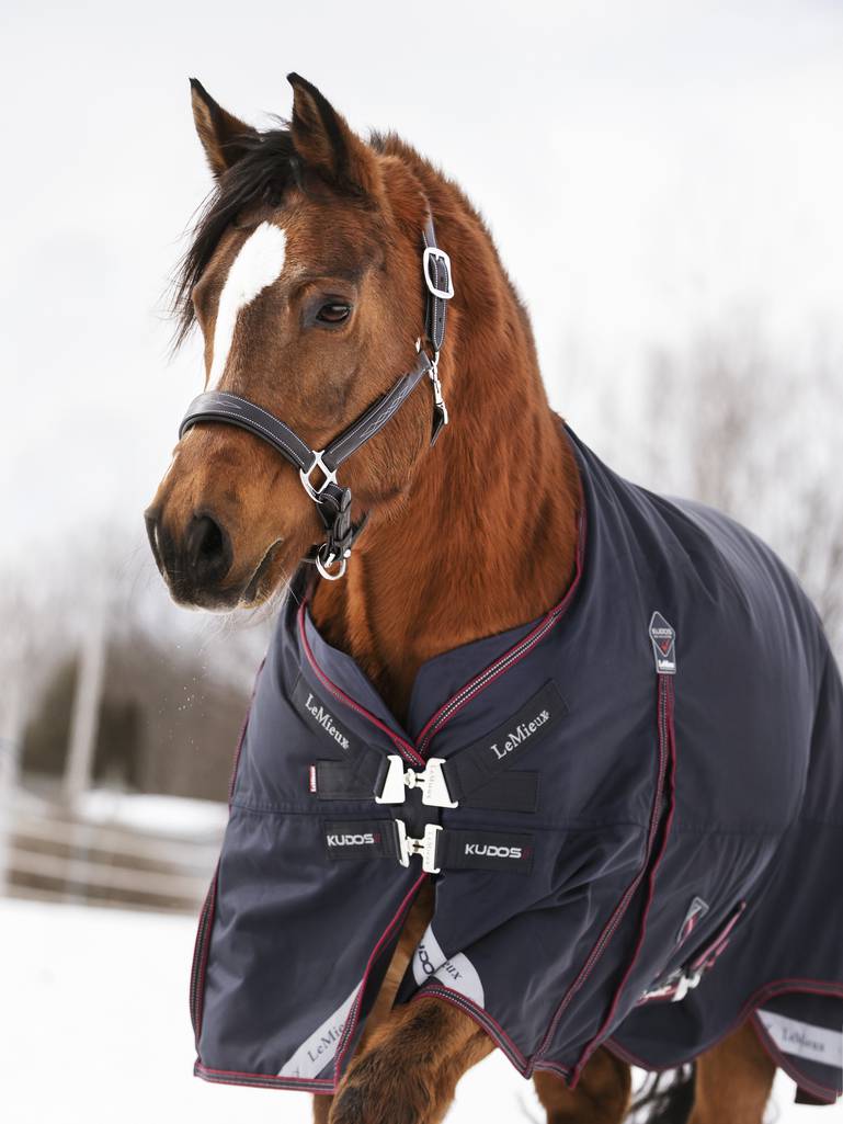 LeMieux LM Kudos Turnout Rug 50g Navy