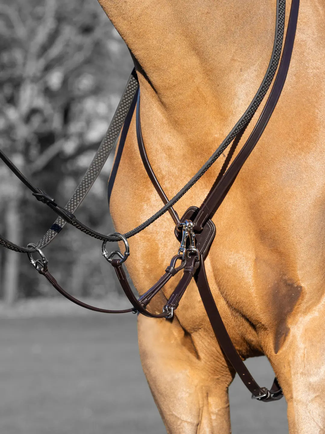 LM Kudos Running Martingale Brun/Sølv