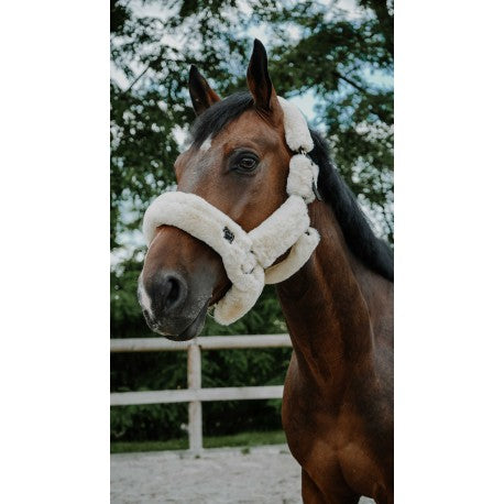 Licol Je t'aime EQUITHÈME - Snuggy