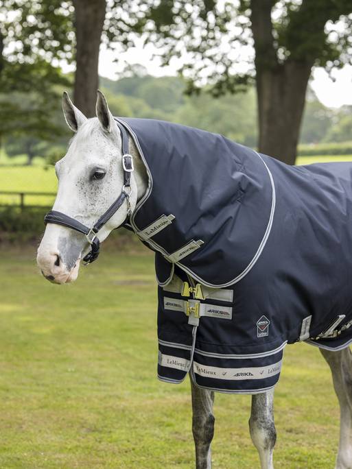 Core LM Arika Featherweight Rug 0g Navy