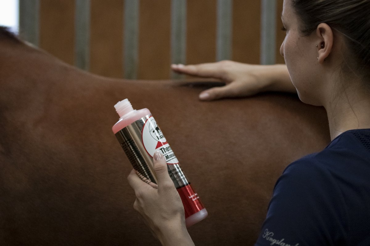 Leovet Thermo-Massage 500 ml