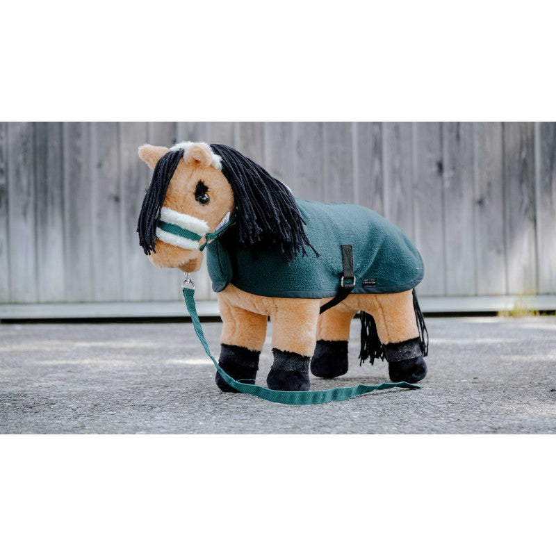 Mini-ponny Karamell - PONY ACADEMY
