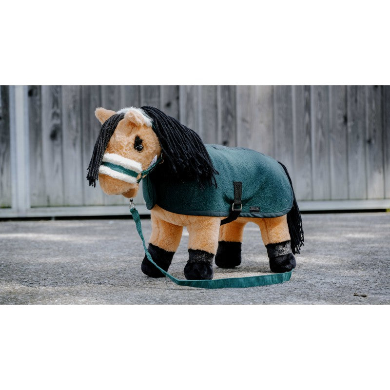 Mini-ponny Karamell - PONY ACADEMY